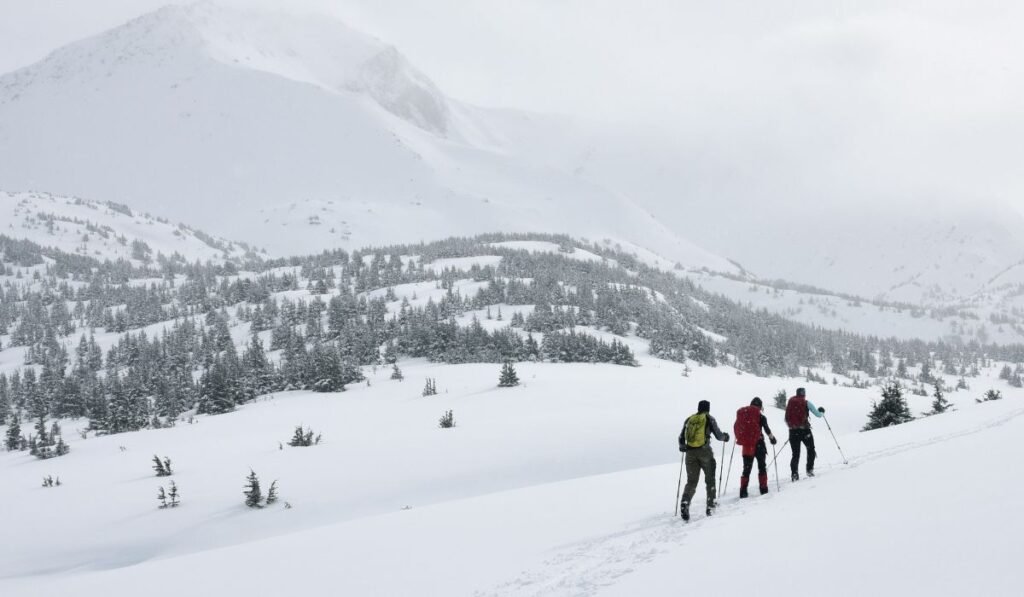 Three skiers walking in a row on a snowy mountain trail for backcountry skiing adventure